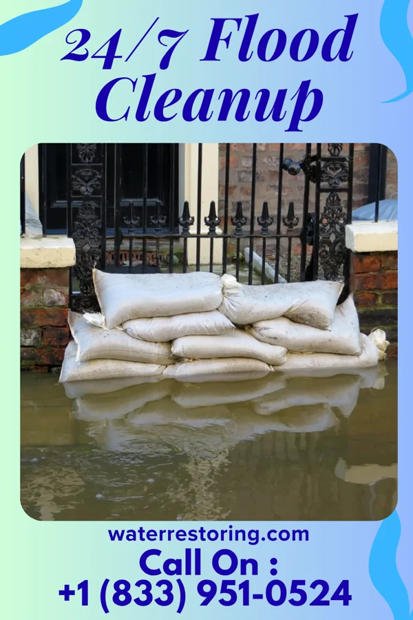 24/7 Flood Cleanup in Deerwood, MN