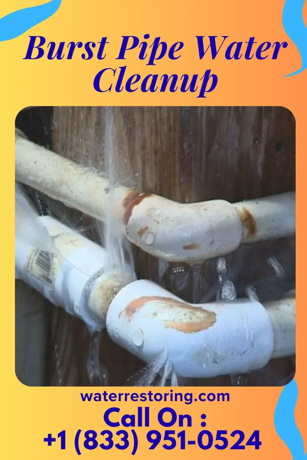 Burst Pipe Water Cleanup in Deerwood, MN