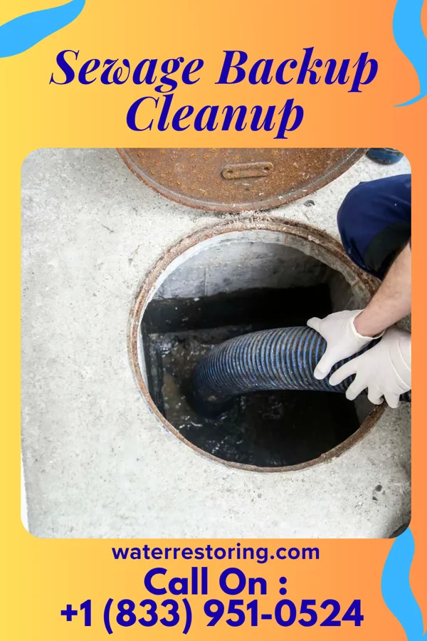 Sewage Backup Cleanup in Deerwood, MN
