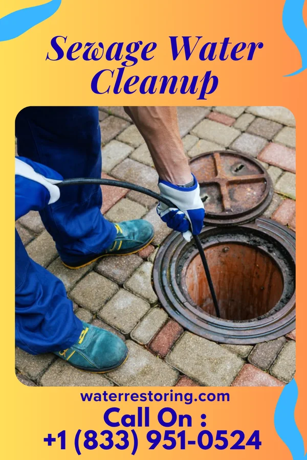 Sewage Water Cleanup in Deerwood, MN