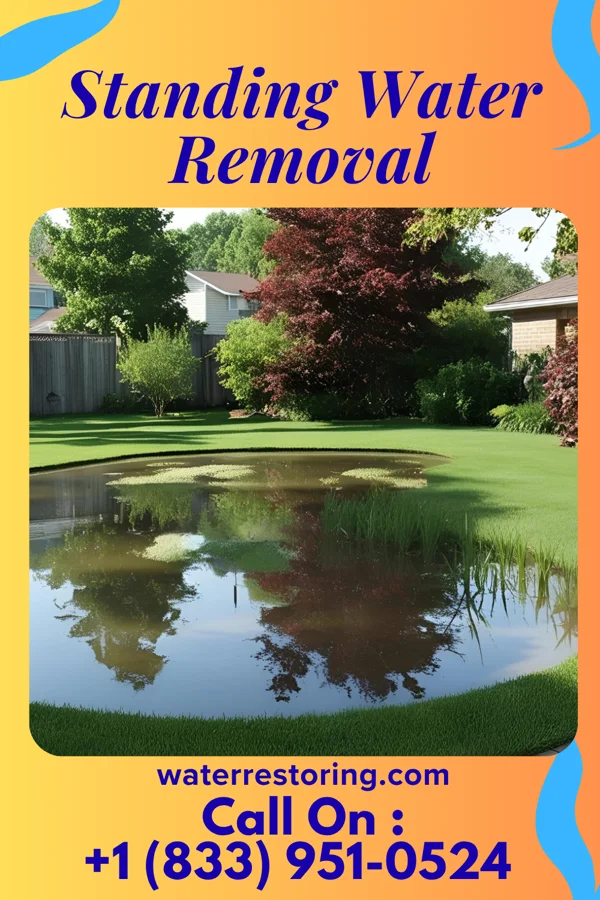Standing Water Removal in Deerwood, MN